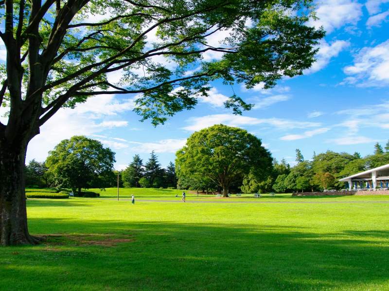 公園