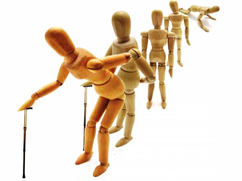 加齢による体系の変化イメージ