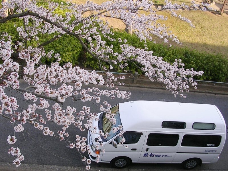 桜と介護車両キャラバン